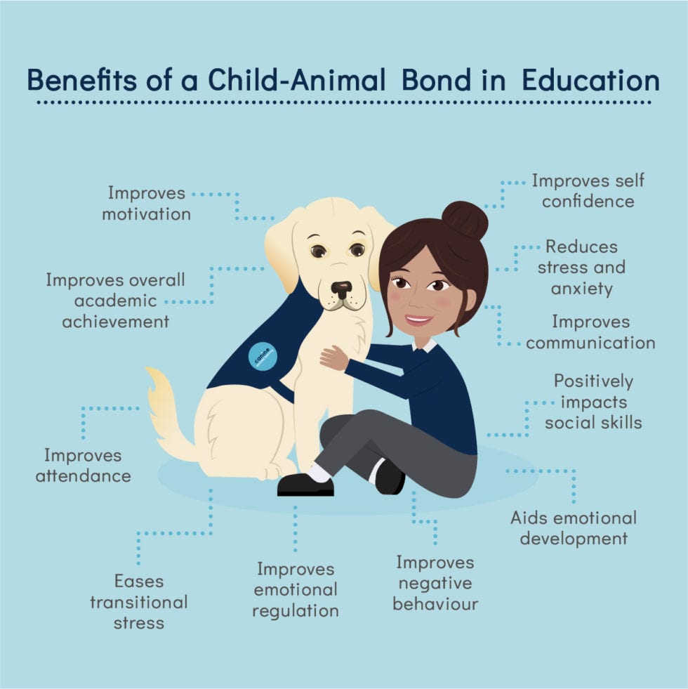 Canine Assisted Learning - School Dogs - Canine Assisted Learning