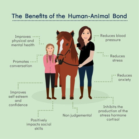 Equine Assisted Therapy Canine Assisted Learning