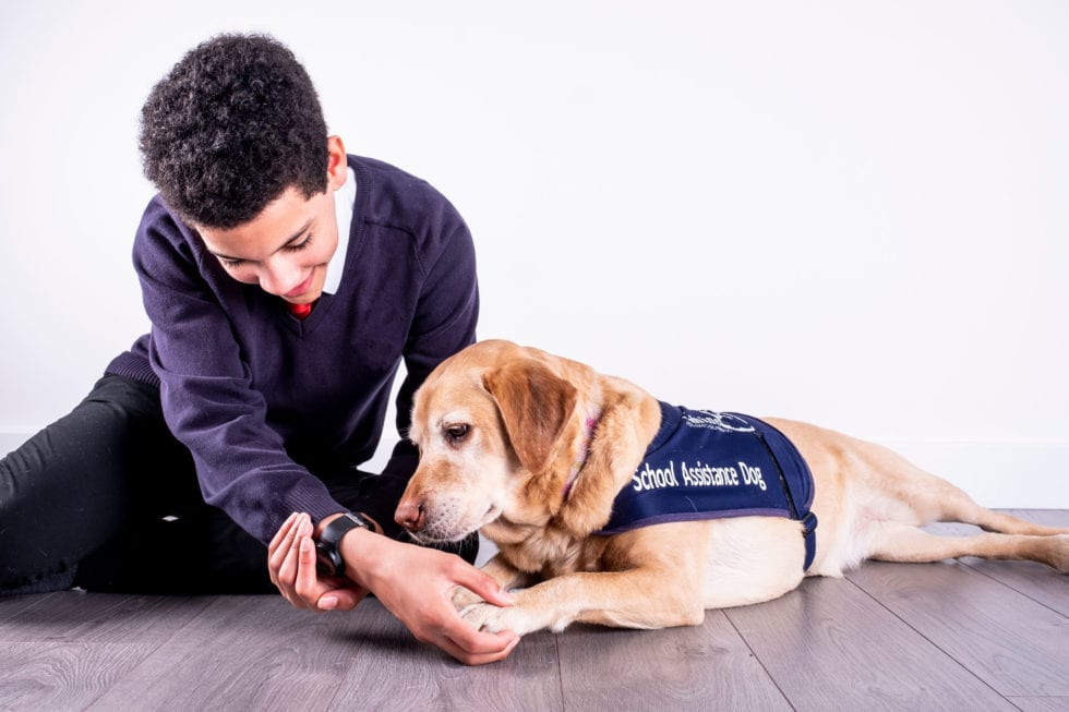 The Child-animal Bond - Canine Assisted Learning