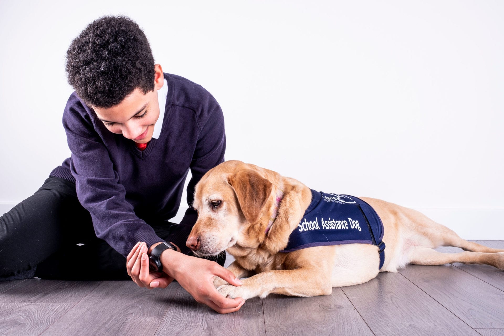 The Child-Animal Bond - Canine Assisted Learning